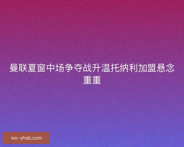 曼联夏窗中场争夺战升温托纳利加盟悬念重重
