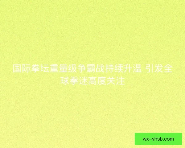 国际拳坛重量级争霸战持续升温 引发全球拳迷高度关注