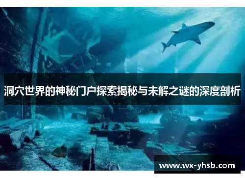 洞穴世界的神秘门户探索揭秘与未解之谜的深度剖析